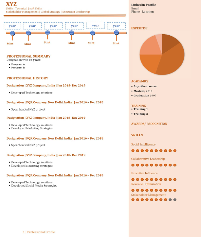 Hybrid Resume Template